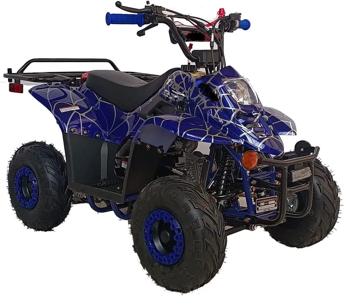 110cc ATV Four Wheelers Fully Automatic 4 Stroke Engine 6 Inch Tires Quads for Kids Spider Black