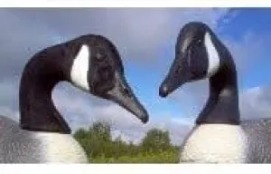 Canada Goose Head Decoy Flocking Kit - 50 Heads