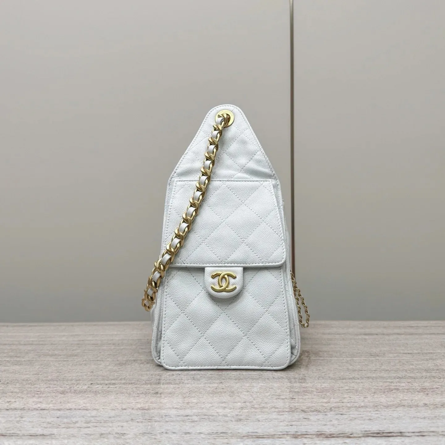 Chanel 25C Medium Hobo Travel Bag