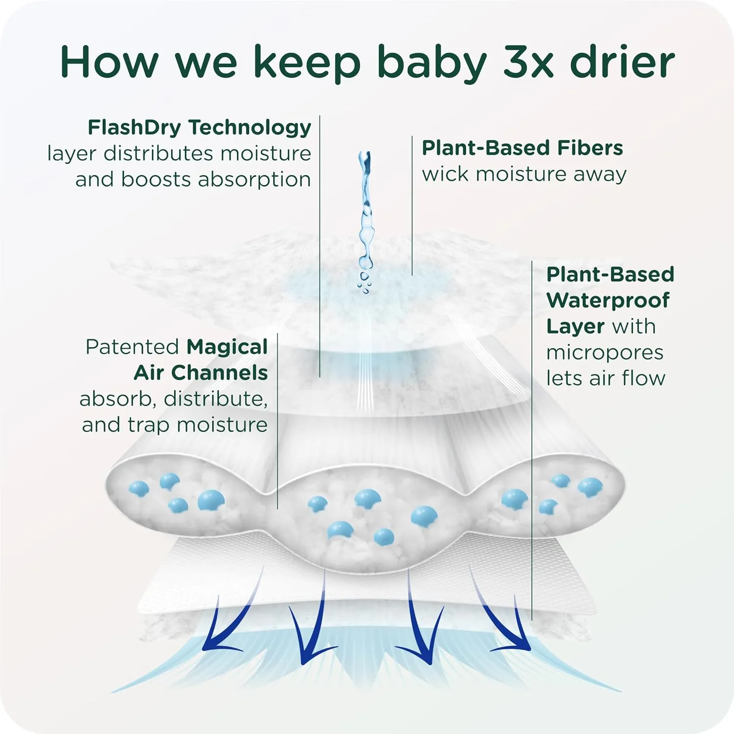 Our Diapers | EWG Verified Safe & Plant-Based Diapers | Leak Protection | Soft Organic Cotton Shell | Chlorine-Free Diaper for Sensitive Skin | Size 2 (12-18 lbs) 66 Count
